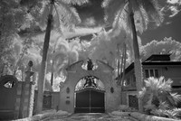 IMG_9891_fx91
