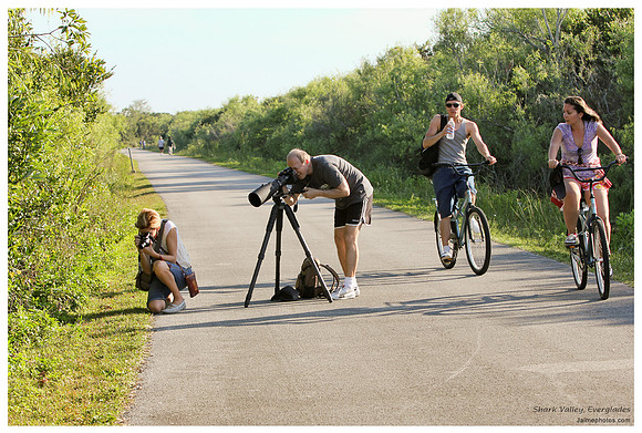Wife assisting photography