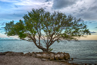 Biscayne Bay