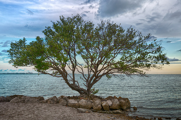 Biscayne Bay