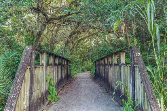 Tree Tops Park, Miami
