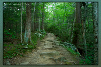 Hiking Trail, Great Smoky Mtns