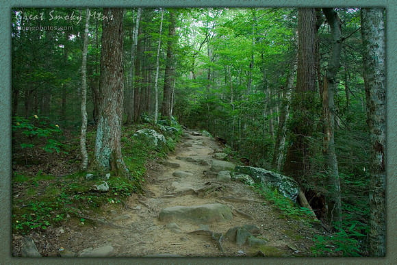 Hiking Trail, Great Smoky Mtns