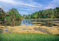 Fairchild Tropical Botanic Garden