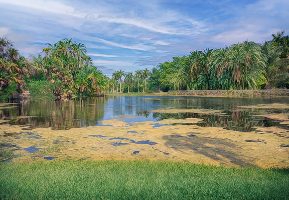 Fairchild Tropical Botanic Garden