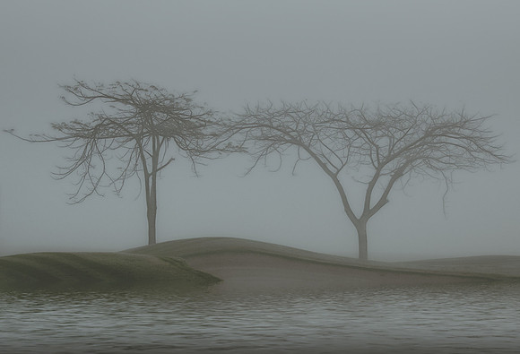 Solos bajo la niebla