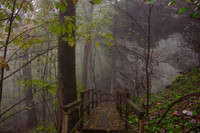 Hiking trail - Chimney Rock, NC