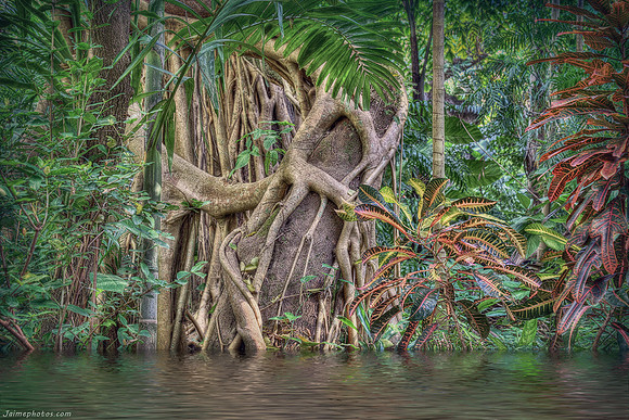 Prinecrest Gardens, Miami