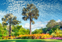 Fairchild Tropical Botanic Garden