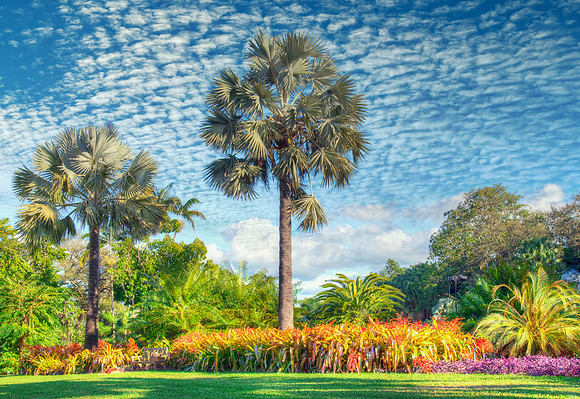 Fairchild Tropical Botanic Garden