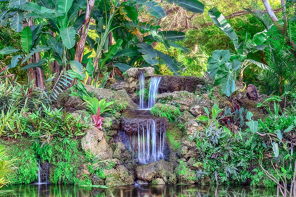 Fairchild Tropical Botanic Garden