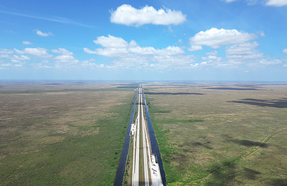 Alligator Alley