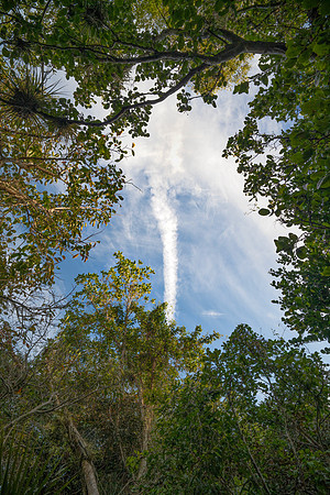 DSC_0679_fx2