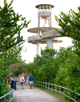 Shark Valley Observation Tower