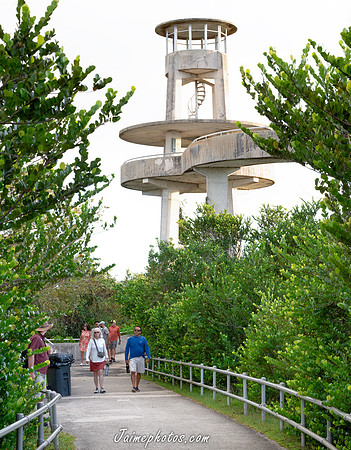 Shark Valley Observation Tower