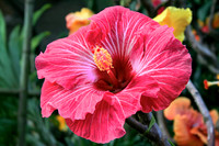 Jaimephotos_IMG_1396_fx8