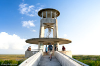 Shark Valley Observation Tower