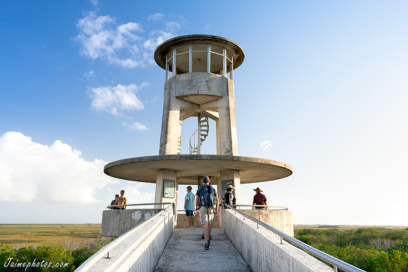 Shark Valley Observation Tower