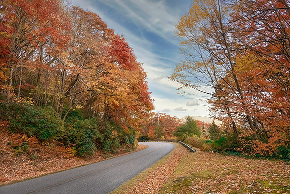 DSC_2613_fx96
