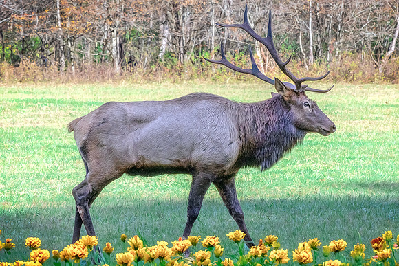 DSC_3130_fx94