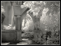 DSC04753