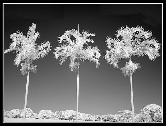 DSC04692_framed_modeml