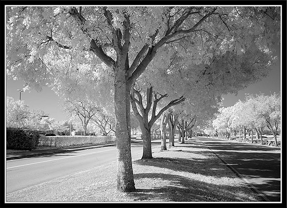 DSC04689_5x7_framed_modem
