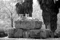 DSC04777_large