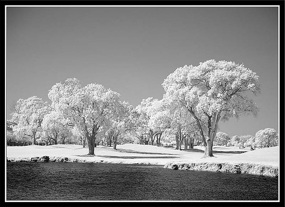 DSC04699_5x7