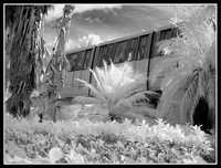 DSC04801