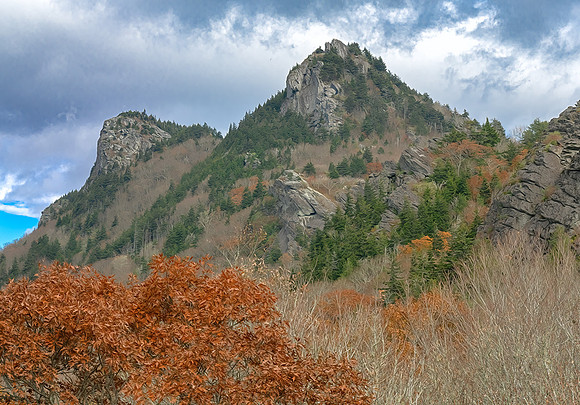 DSC_2658_fx92