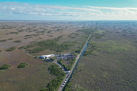 Shark Valley, Everglades