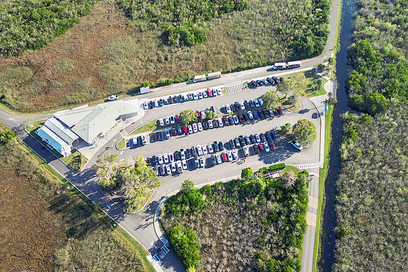 Shark Valley, Everglades