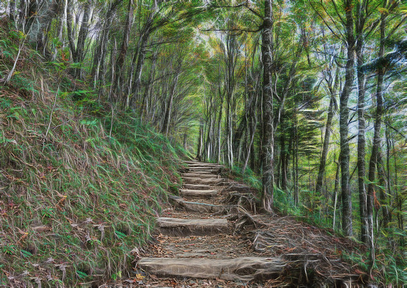 Appalachian Trail