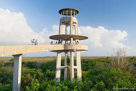 Shark Valley Observation Tower