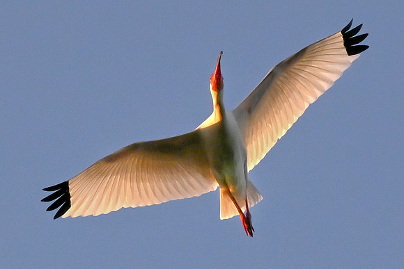 DSC_6243_fx1