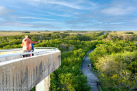 Shark Valley Observation Tower