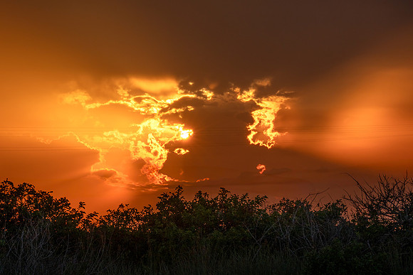 DSC_6896_fx8