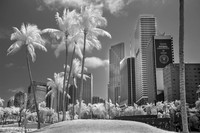 IMG_9880_fx4