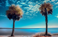 Biscayne Bay IR 590 nm
