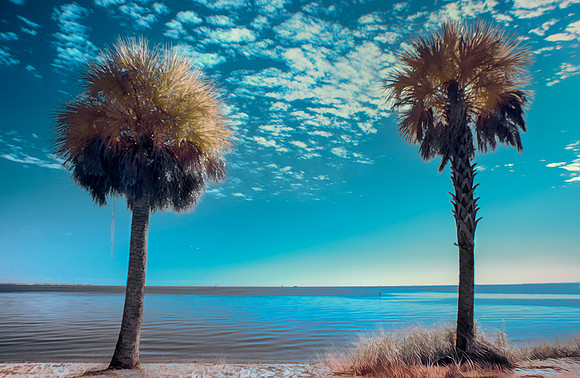 Biscayne Bay IR 590 nm