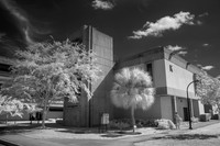 IMG_8996_fx4