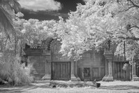 IMG_9509_fx5