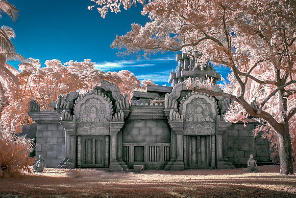 Infrared 590 nm at Zoo Miami
