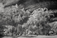 IMG_9149_fx5