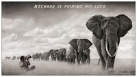Richard is pushing his luck