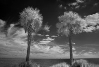 IMG_9930_fx9