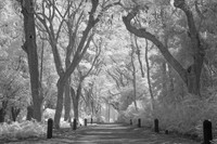 IMG_9264_fx5