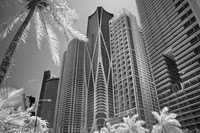 IMG_9838_fx5